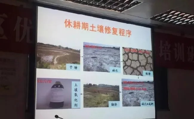 桂花鱼养殖技术培训班心得体会分享