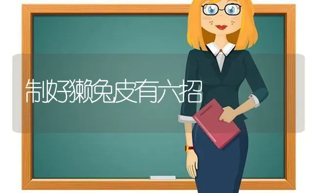 制好獭兔皮有六招 | 家畜养殖