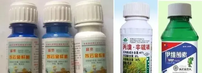 养殖水体中虫害的防与治，教你认识生物杀虫剂与化学杀虫药的区别