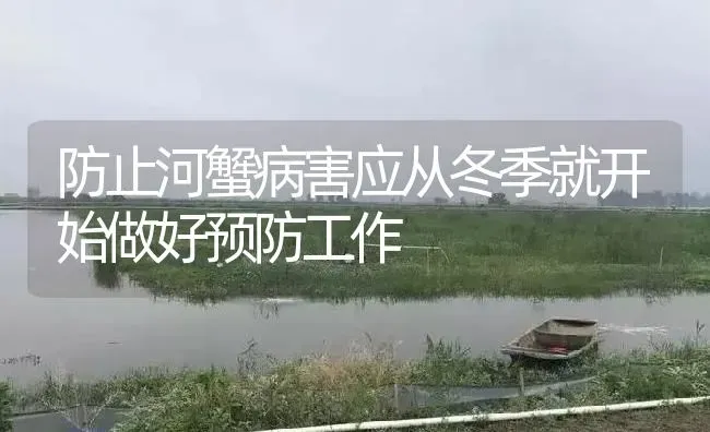 防止河蟹病害应从冬季就开始做好预防工作 | 淡水养殖