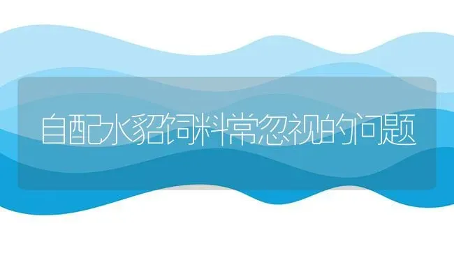 自配水貂饲料常忽视的问题 | 动物养殖饲料