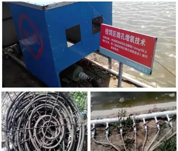 高效运用均衡增氧之投料台底层微孔曝气增氧