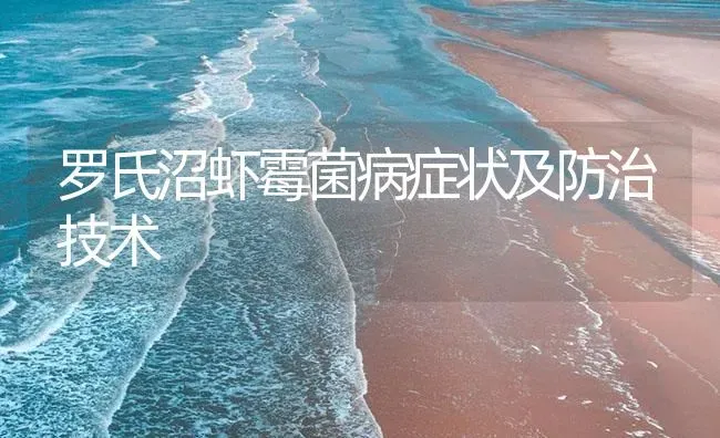 罗氏沼虾霉菌病症状及防治技术 | 海水养殖