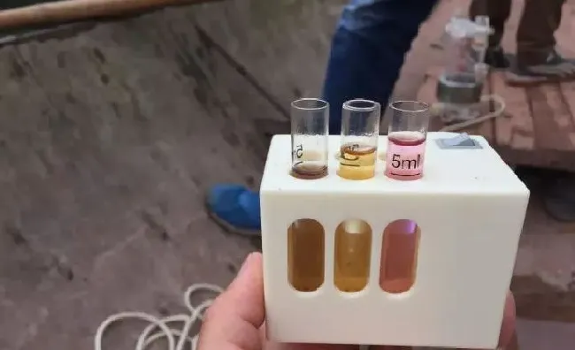 低温时，池塘氨氮高引起的鱼儿浮头怎么办