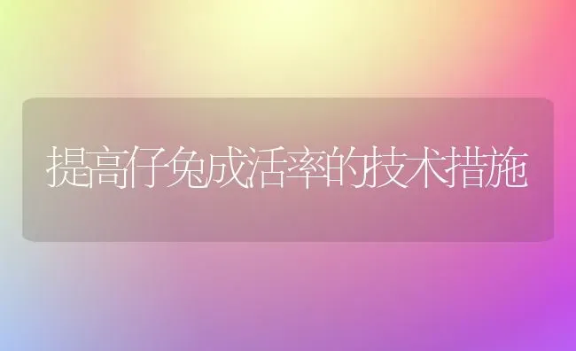提高仔兔成活率的技术措施 | 家畜养殖
