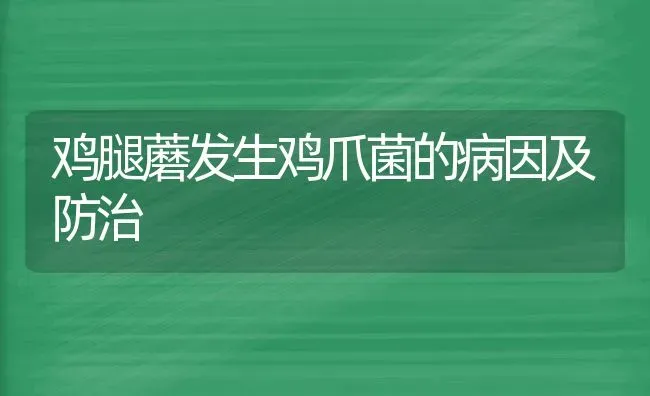 鸡腿蘑发生鸡爪菌的病因及防治 | 家禽养殖