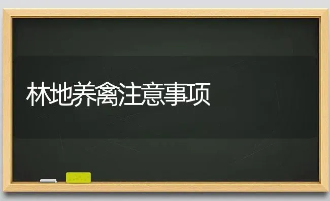 林地养禽注意事项 | 家禽养殖