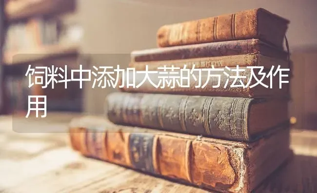饲料中添加大蒜的方法及作用 | 动物养殖饲料