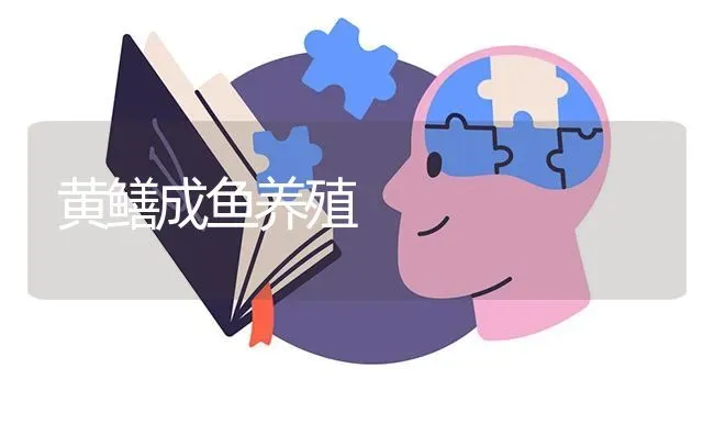 黄鳝成鱼养殖 | 淡水养殖