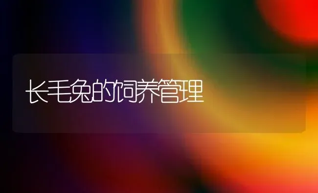 长毛兔的饲养管理 | 家畜养殖