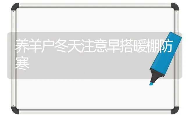 养羊户冬天注意早搭暖棚防寒 | 家畜养殖