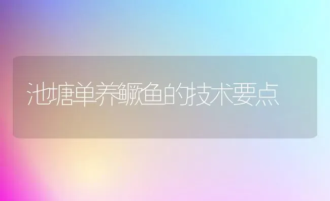 池塘单养鳜鱼的技术要点 | 淡水养殖