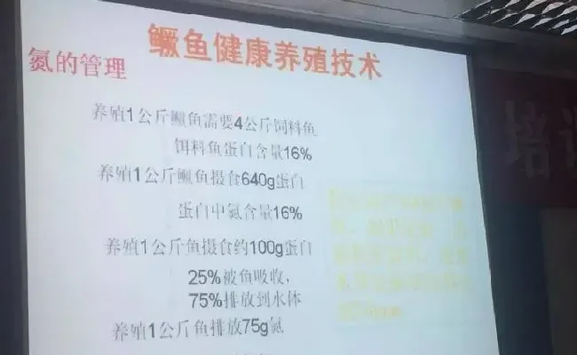 桂花鱼养殖技术培训班心得体会分享