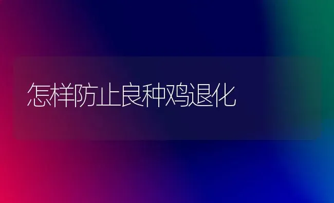 怎样防止良种鸡退化 | 家禽养殖