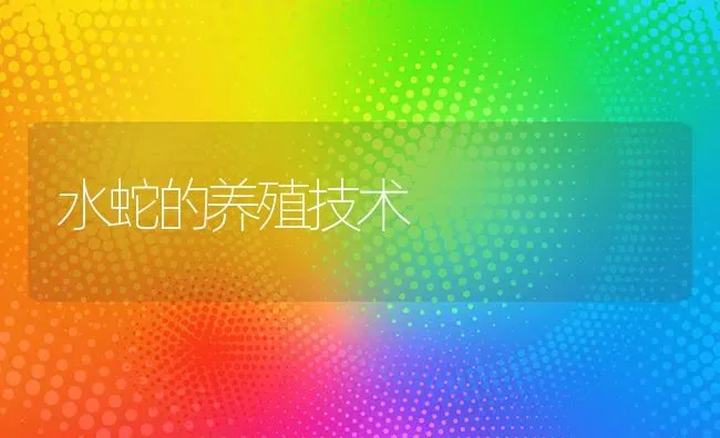 水蛇的养殖技术 | 特种养殖