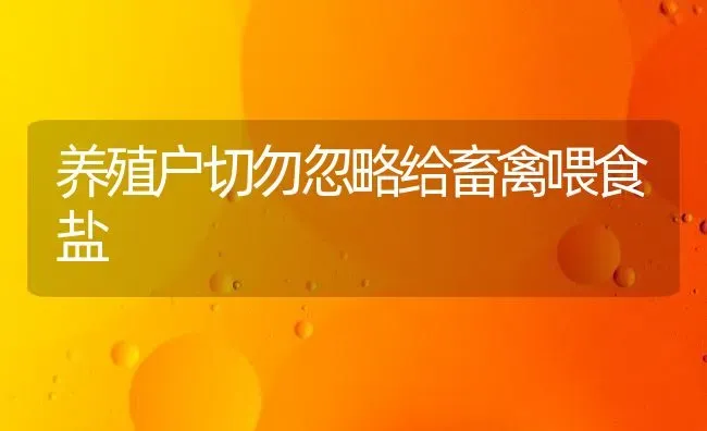 养殖户切勿忽略给畜禽喂食盐 | 家禽养殖