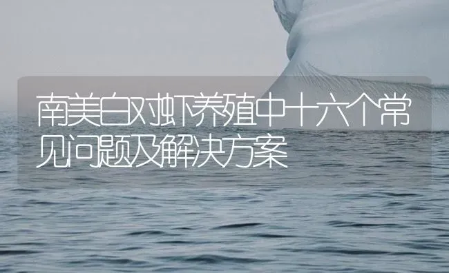南美白对虾养殖中十六个常见问题及解决方案 | 海水养殖