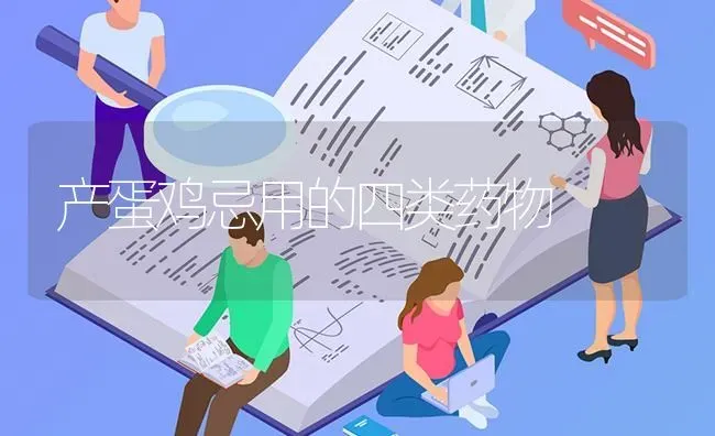 产蛋鸡忌用的四类药物 | 养殖病虫害防治