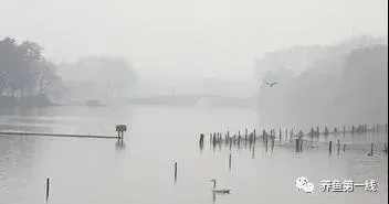 阴雨天鱼塘缺氧现象犹应重视：阴雨天引发缺氧的原因和应对措施