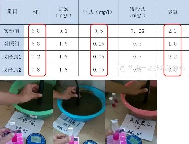 【厂家评测报告】模拟底改——海联科底倍康小水体效果验证