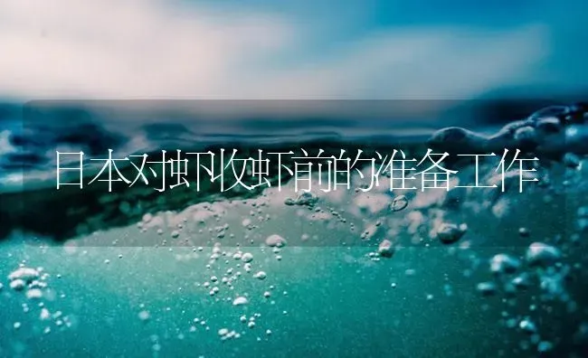 日本对虾收虾前的准备工作 | 海水养殖