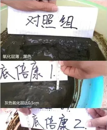【厂家评测报告】模拟底改——海联科底倍康小水体效果验证