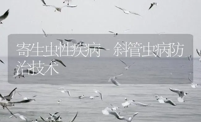寄生虫性疾病-斜管虫病防治技术 | 养殖病虫害防治
