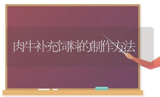 肉牛补充饲料的制作方法 | 动物养殖饲料