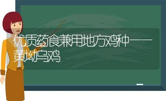 优质药食兼用地方鸡种——黄坳乌鸡 | 养殖病虫害防治