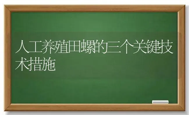 人工养殖田螺的三个关键技术措施 | 动物养殖百科