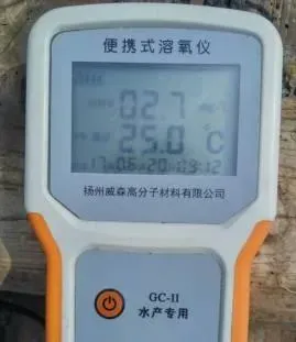 三伏天主养区海参大量偷死的真相