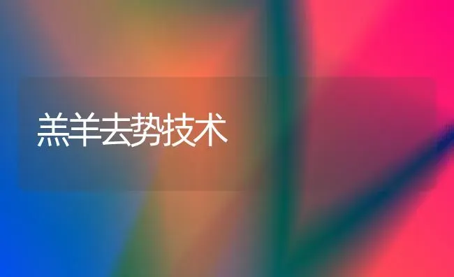 羔羊去势技术 | 家畜养殖