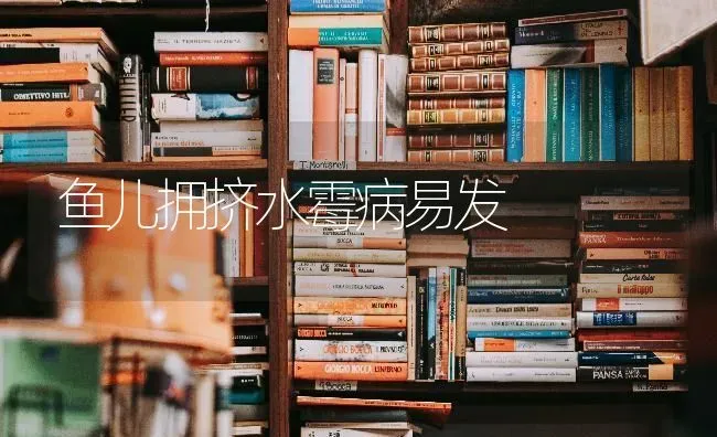 鱼儿拥挤水霉病易发 | 淡水养殖