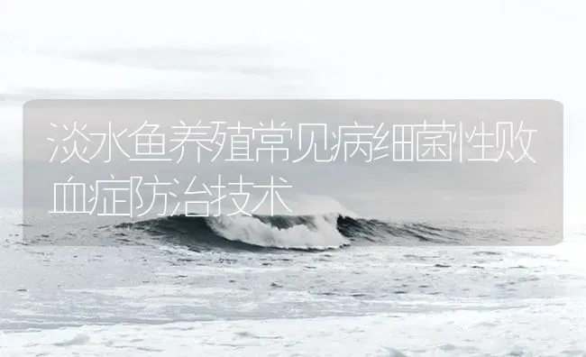 淡水鱼养殖常见病细菌性败血症防治技术 | 养殖病虫害防治