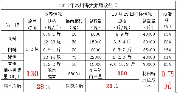 3101+藻源素 花白鲢养殖成本每斤只需七毛五