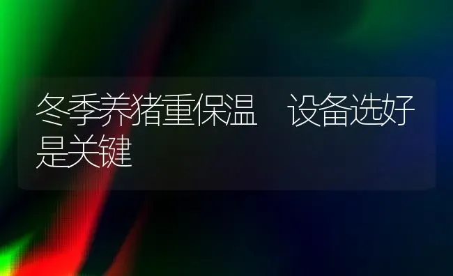 冬季养猪重保温 设备选好是关键 | 家畜养殖