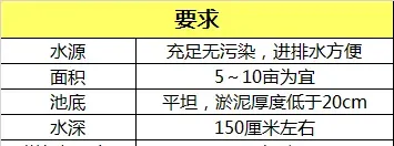 黄颡鱼苗种培育小技巧，一般人我可不告诉他