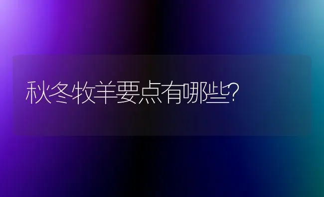 秋冬牧羊要点有哪些？ | 家畜养殖