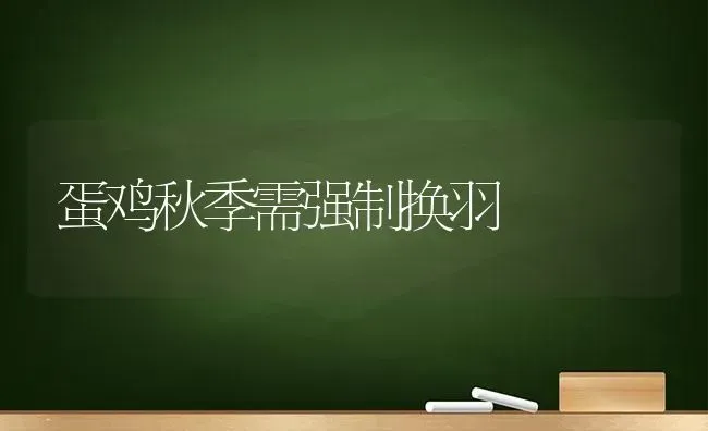 蛋鸡秋季需强制换羽 | 家禽养殖