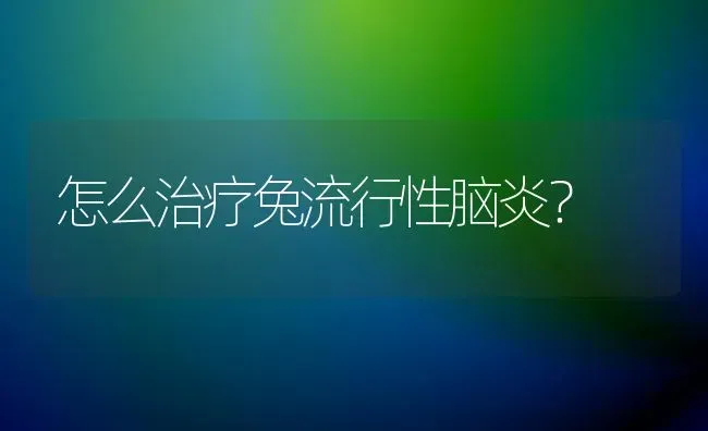 怎么治疗兔流行性脑炎？ | 家畜养殖