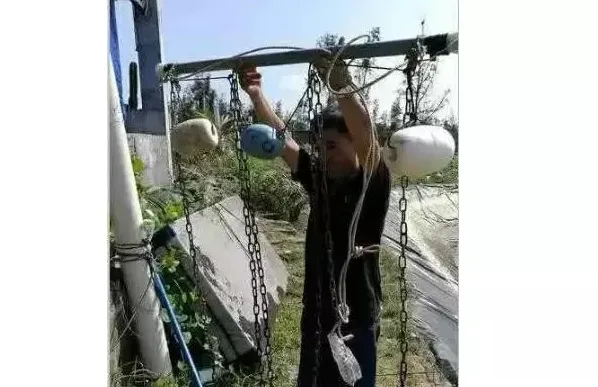 养虾革命性概念，越南、中国、印度、厄瓜多尔、韩国、埃及等国都在用！