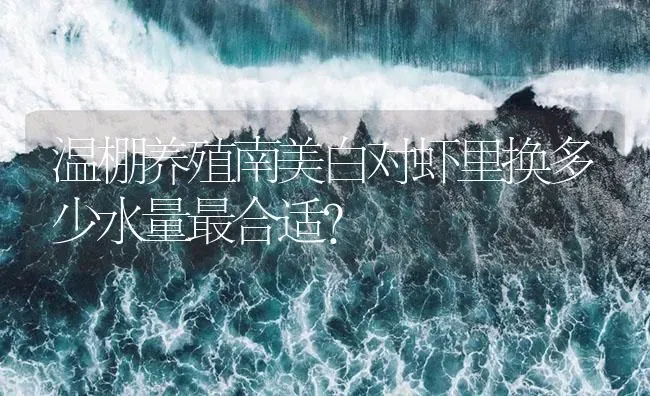 温棚养殖南美白对虾里换多少水量最合适？ | 海水养殖