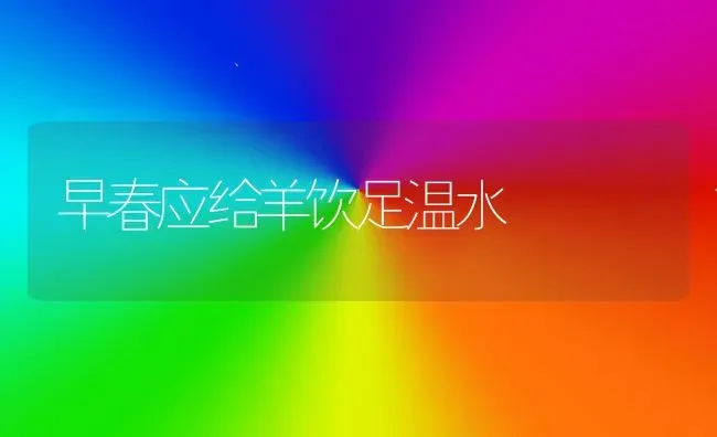 早春应给羊饮足温水 | 家畜养殖