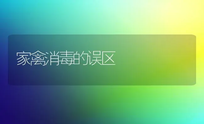 家禽消毒的误区 | 家禽养殖