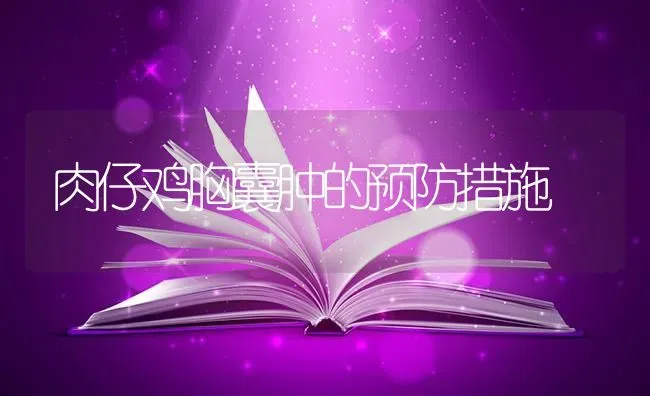 肉仔鸡胸囊肿的预防措施 | 家禽养殖