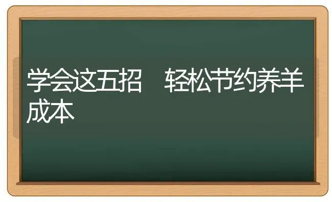 学会这五招 轻松节约养羊成本 | 家畜养殖