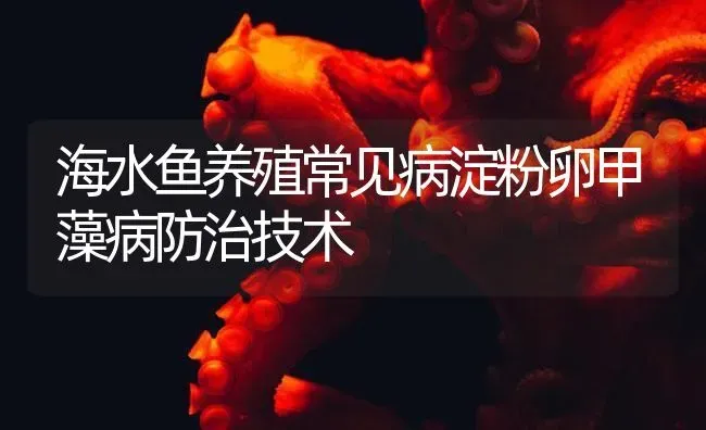 海水鱼养殖常见病淀粉卵甲藻病防治技术 | 海水养殖