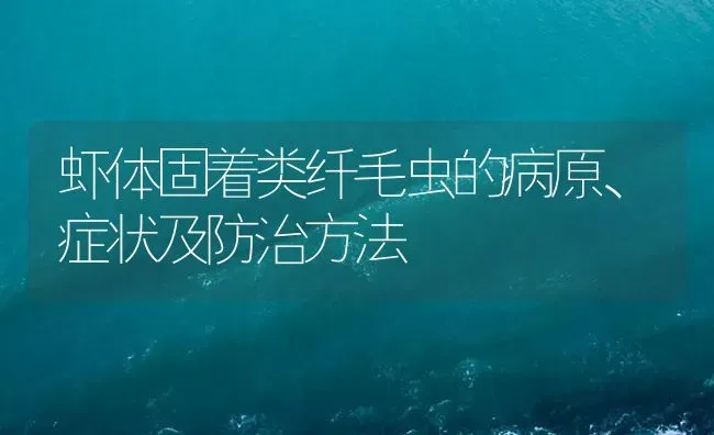 虾体固着类纤毛虫的病原、症状及防治方法 | 养殖病虫害防治