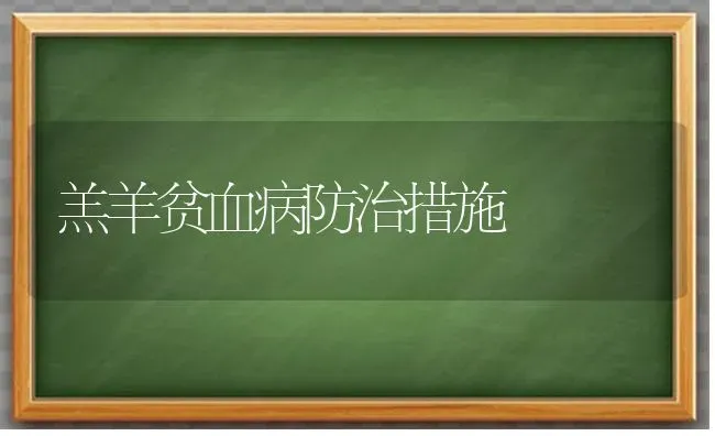 羔羊贫血病防治措施 | 家畜养殖