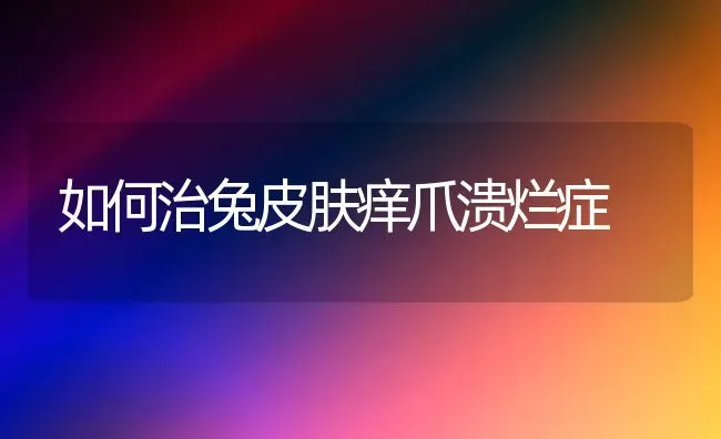 如何治兔皮肤痒爪溃烂症 | 家畜养殖